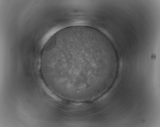 X0000111151413200906301326