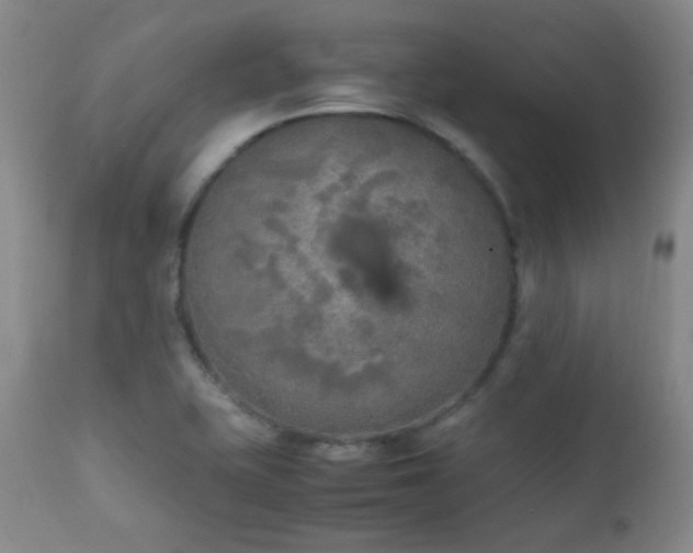 X0000111151415200906301327