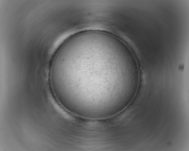 X0000111151416200906301327