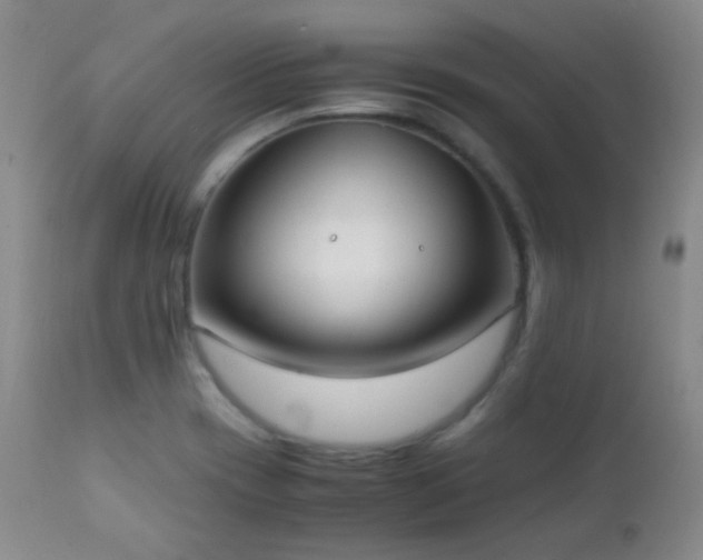 X0000111151417200906301327