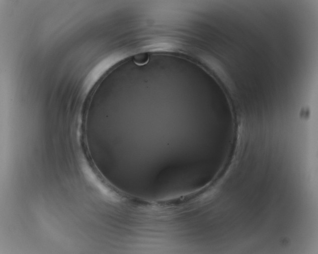X0000111151418200906301327