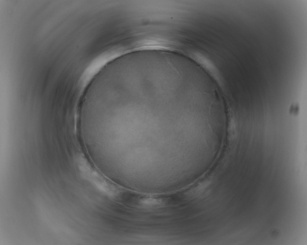 X0000111151419200906301327