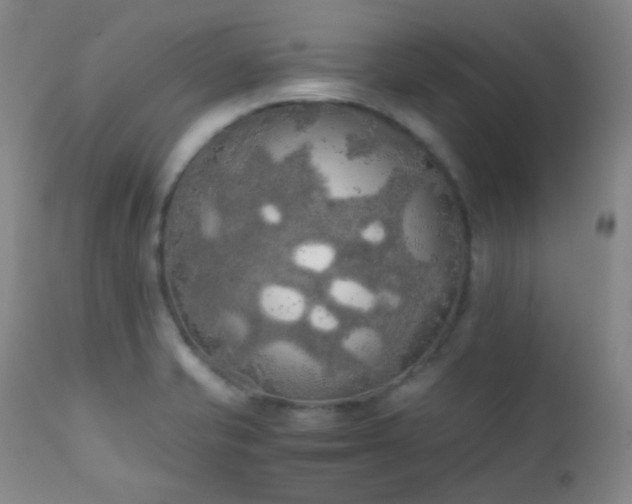 X0000111151421200906301327