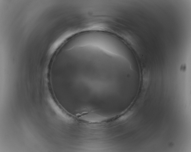 X0000111151422200906301327