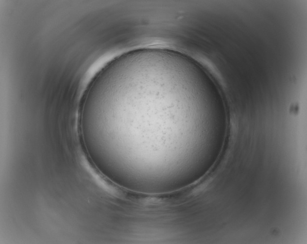 X0000111151424200906301327