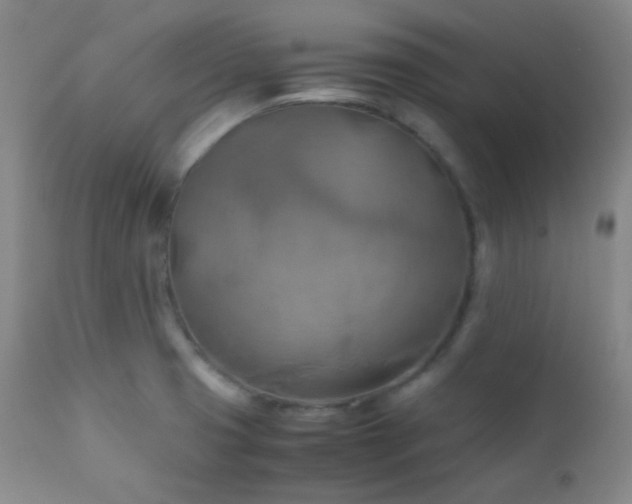X0000111151425200906301327