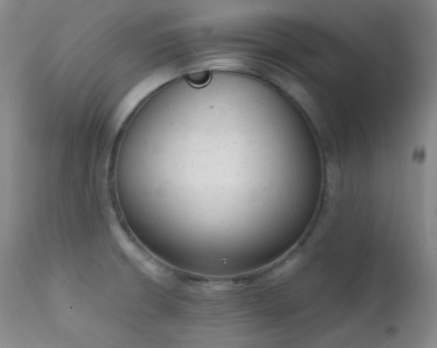 X0000111151426200906301327