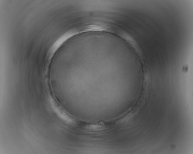 X0000111151427200906301327