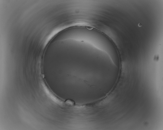 X0000111151428200906301327