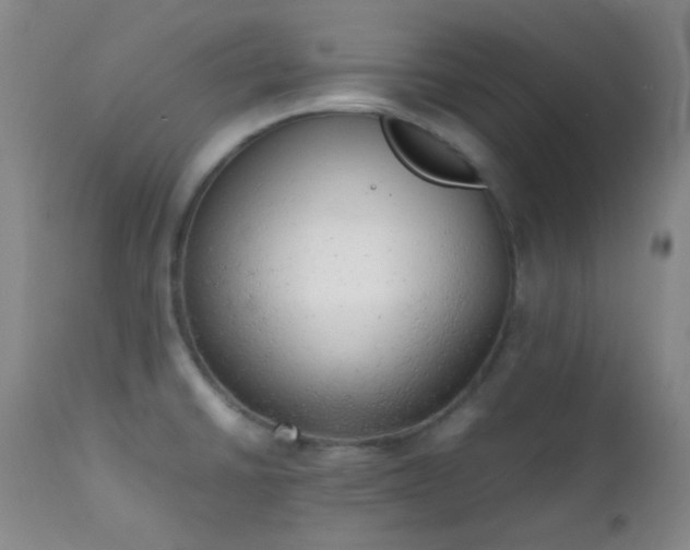 X0000111151430200906301327