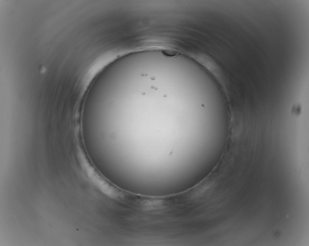 X0000111151431200906301327