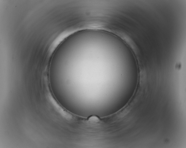 X0000111151432200906301327