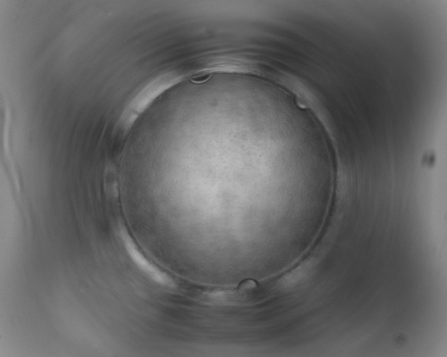 X0000111151433200906301327