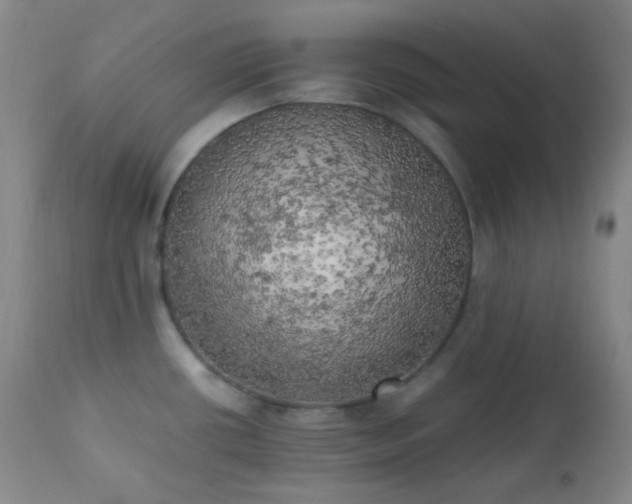 X0000111151434200906301327
