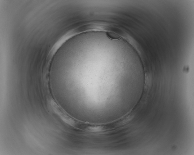 X0000111151435200906301327