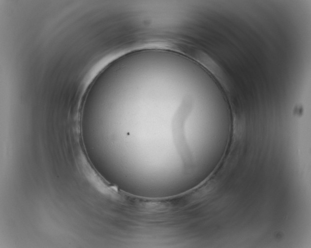 X0000111151436200906301327