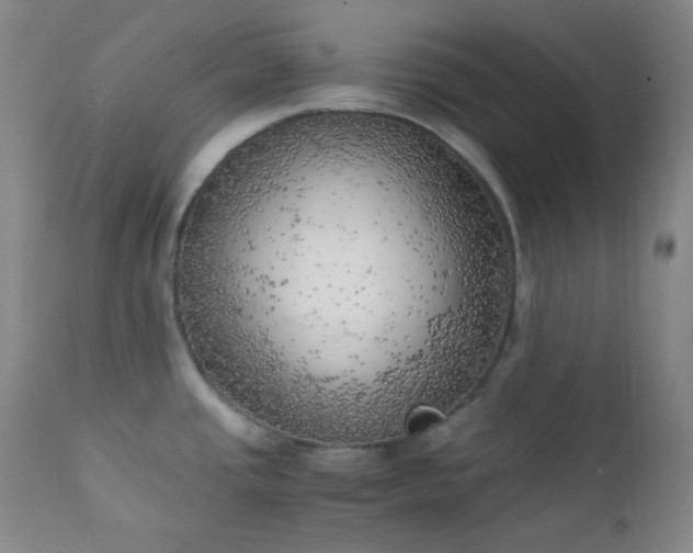 X0000111151437200906301327