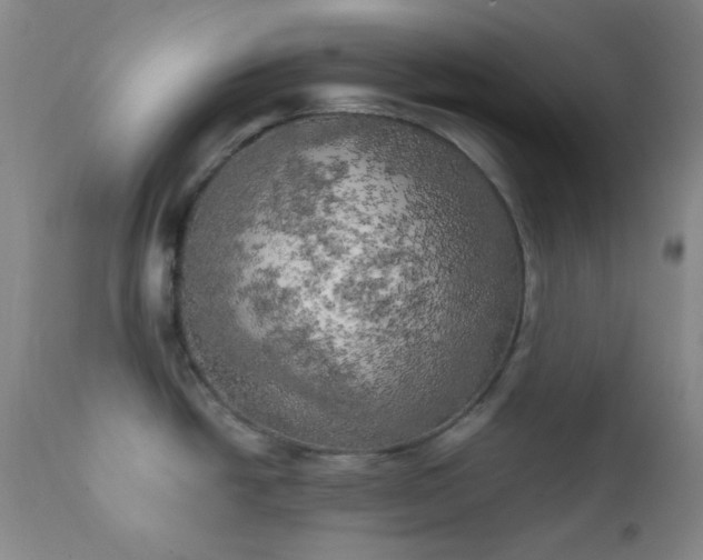 X0000111151438200906301327