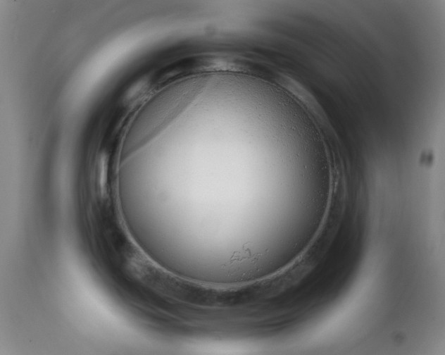 X0000111151439200906301327