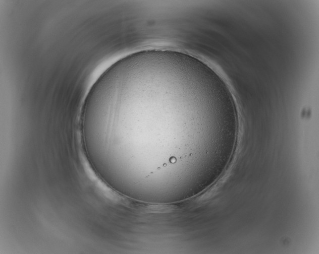 X0000111151440200906301327