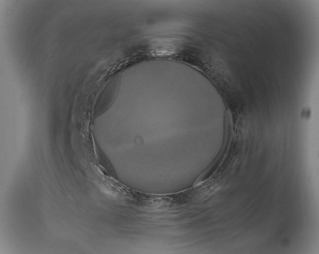 X0000111151441200906301326