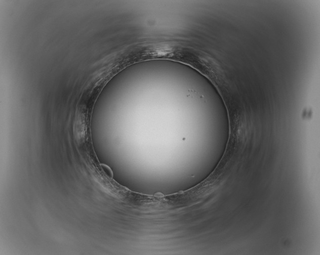 X0000111151442200906301326