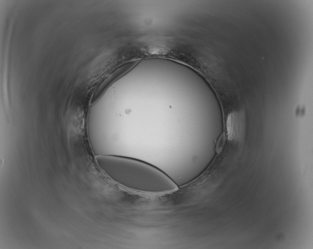 X0000111151443200906301326