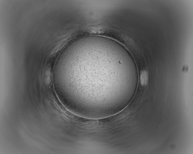X0000111151444200906301326