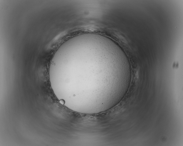 X0000111151446200906301326