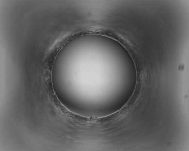 X0000111151447200906301326