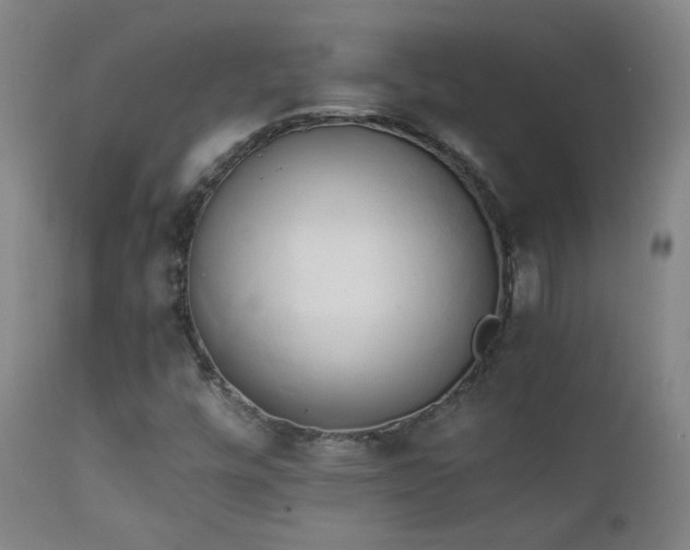X0000111151448200906301326