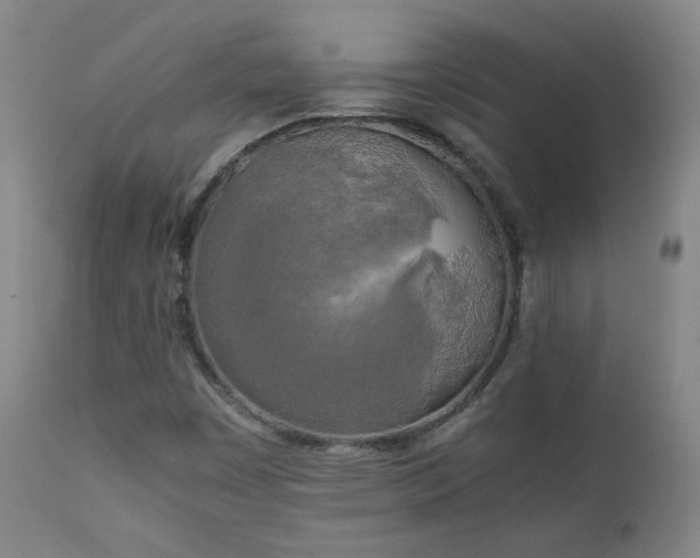X0000111151449200906301326