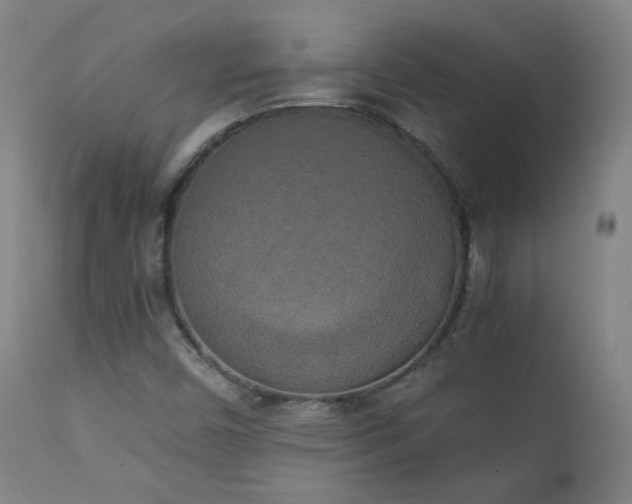 X0000111151450200906301326