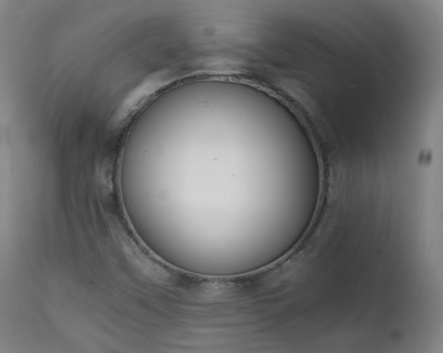 X0000111151451200906301326