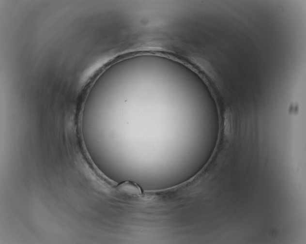 X0000111151452200906301326
