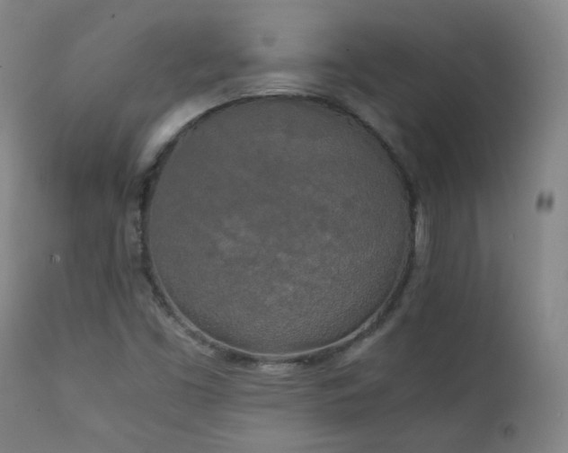 X0000111151453200906301326