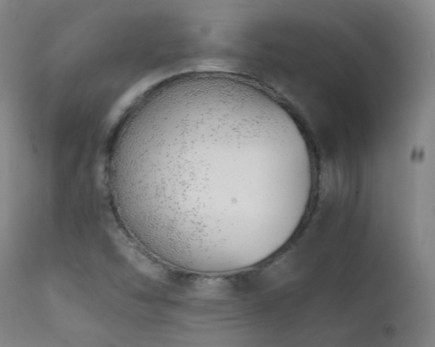 X0000111151454200906301326