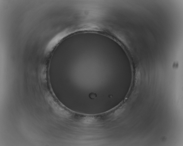 X0000111151455200906301326