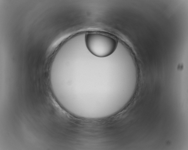 X0000111151456200906301326