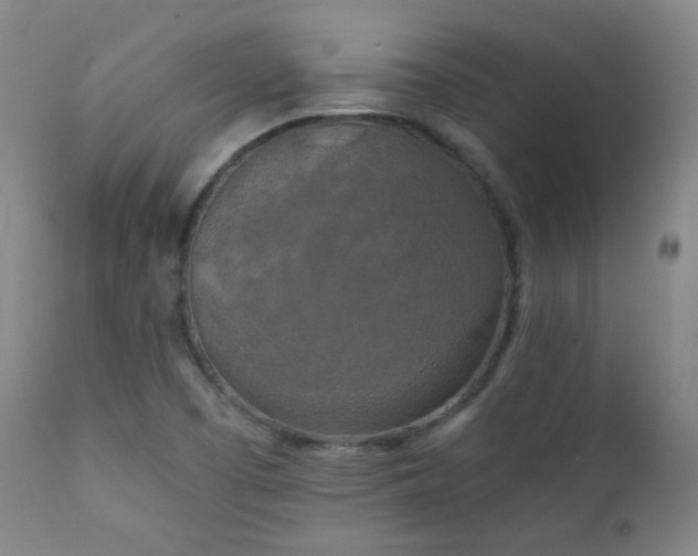 X0000111151457200906301326