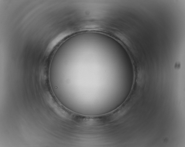 X0000111151458200906301326