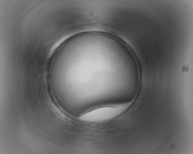 X0000111151460200906301326