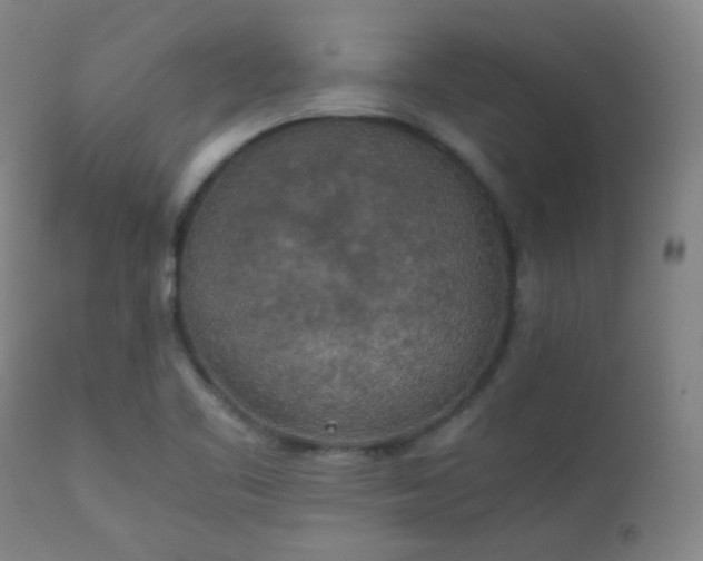 X0000111151461200906301326