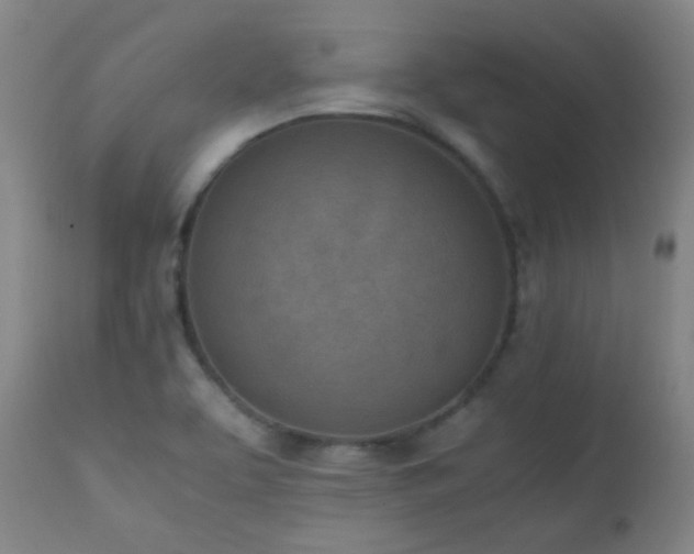 X0000111151463200906301326
