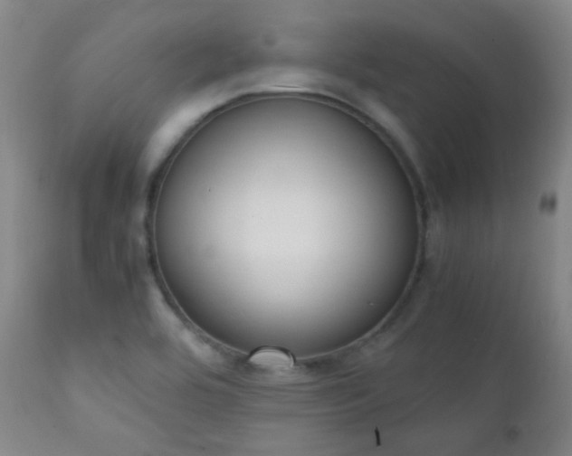 X0000111151464200906301326