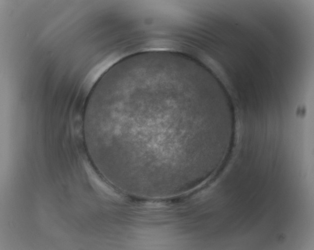 X0000111151465200906301326