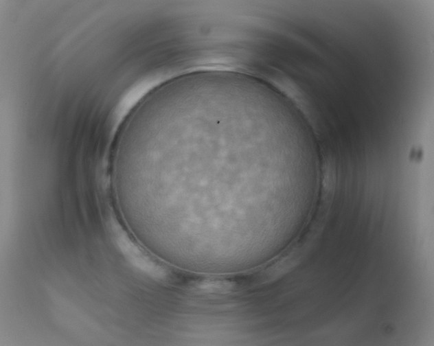 X0000111151466200906301326