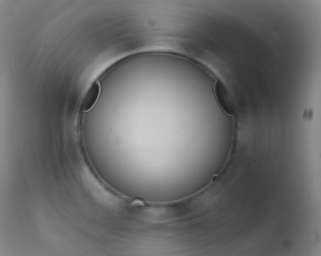 X0000111151468200906301326