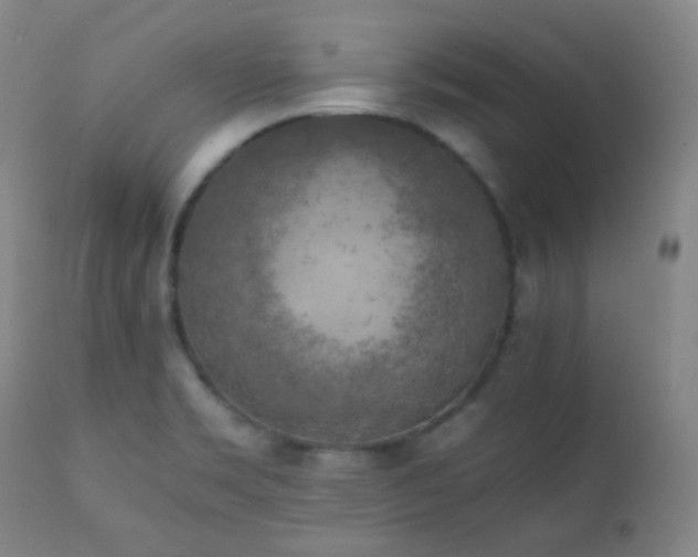 X0000111151469200906301326