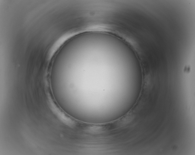 X0000111151470200906301326